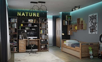 Детская комната для мальчика Nature в Чите