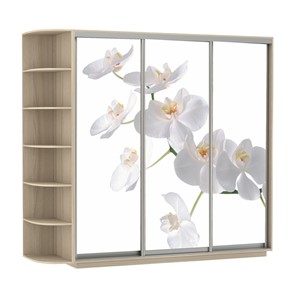 Шкаф Экспресс со стеллажом, 2100х600х2200, Орхидея белая/шимо светлый в Чите
