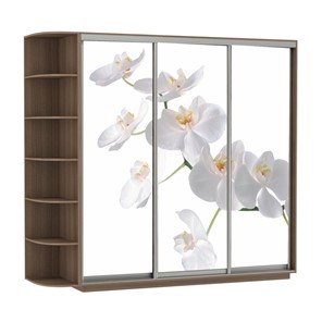 Шкаф 3-створчатый Экспресс со стеллажом, 2100х600х2200, Орхидея белая/шимо темный в Чите