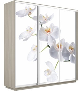 Шкаф 3-х дверный Е1 Экспресс 1800х600х2200, Орхидея белая/шимо светлый в Чите