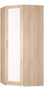 Угловой шкаф распашной Реал (YR-230х1034 (3)-М Вар.4), с зеркалом в Чите
