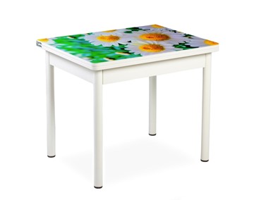 Кухонный пристенный стол СПА-01 СТФ, белый/фотопечать ромашки/опоры прямые белые в Чите