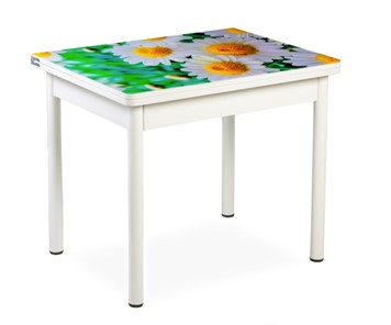 Кухонный пристенный стол СПА-07 СТФ, белый/фотопечать ромашки/опоры прямые белый в Чите