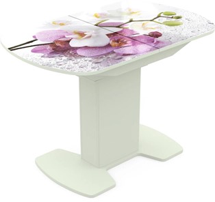 Кухонный стол раскладной Корсика исп. 1 Фотопечать (Цветы №44) 1100(1415)*700 в Чите
