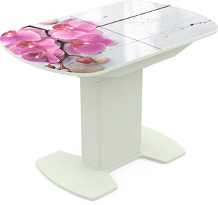 Кухонный стол раскладной Корсика исп. 2 Фотопечать (Цветы №24) 1200(1515)*800 в Чите