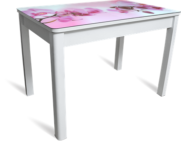 Кухонный стол раздвижной Айсберг-02 СТФ, белое лдсп/орхидея/40 прямые массив белые в Чите