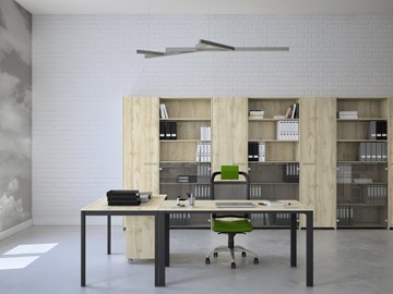 Комплект офисной мебели Саньяна в Чите
