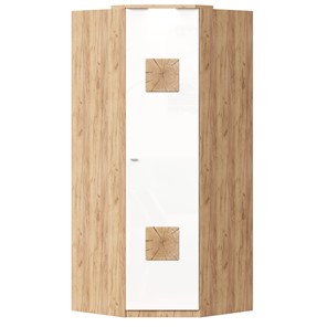 Шкаф угловой 45 с декоративной накладкой Фиджи, 659.248, белый в Чите