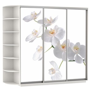 Шкаф Экспресс со стеллажом, 2400х600х2200, Орхидея белая/белый снег в Чите
