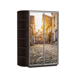 Шкаф 2-створчатый Экспресс 1700x600x2400, со стеллажом, Улица/венге в Чите