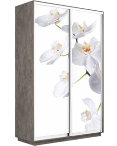 Шкаф-купе 2-х дверный Экспресс 1600x600x2400, Орхидея белая/бетон в Чите