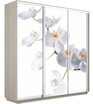 Шкаф 3-х дверный Экспресс 1800х600х2200, Орхидея белая/шимо светлый в Чите - изображение