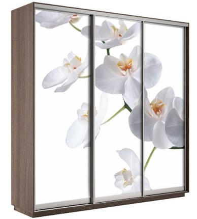 Шкаф 3-х створчатый Экспресс 2400х600х2200, Орхидея белая/шимо темный в Чите - изображение