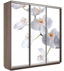Шкаф 3-х створчатый Экспресс 2400х600х2400, Орхидея белая/шимо темный в Чите - предосмотр