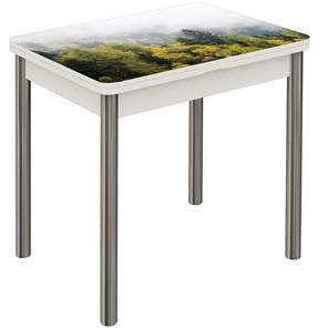 Кухонный раздвижной стол Бари хром №6 (Exclusive h175/белый) в Чите
