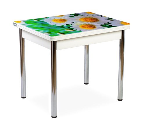 Кухонный стол СПА-01 СТФ, белый/фотопечать ромашки/опоры прямые хром в Чите - изображение