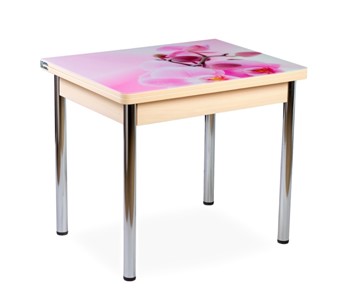 Кухонный пристенный стол СПА-01 СТФ, молочный дуб/фотопечать орхидея/опоры прямые хром в Чите - предосмотр