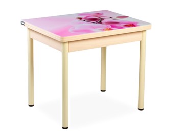 Кухонный пристенный стол СПА-02 СТФ, молочный дуб/фотопечать орхидея/опоры бежевый в Чите