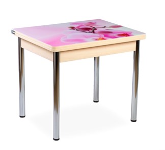 Кухонный пристенный стол СПА-02 СТФ, молочный дуб/фотопечать орхидея/опоры хром в Чите