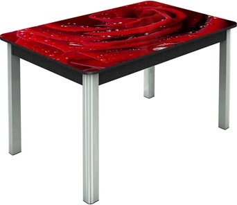 Кухонный раскладной стол Гамбург исп. Мини, ноги метал. крашеные №23, Фотопечать (Цветы №39) в Чите