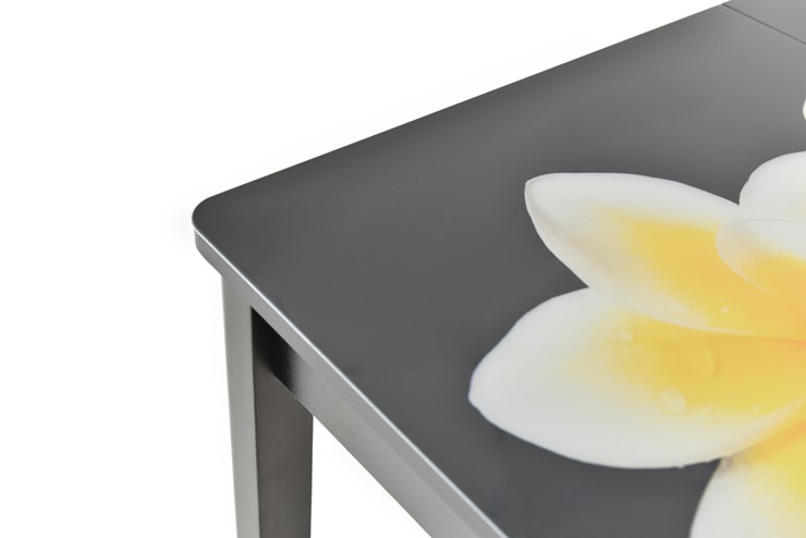 Кухонный раздвижной стол Гамбург исп.1 ноги метал. крашеные №23, Фотопечать (Текстура №26) в Чите - изображение 8