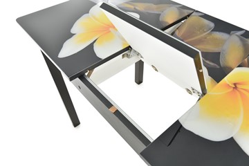 Кухонный стол раздвижной Гамбург исп.2 ноги метал. крашеные №23, Фотопечать (Цветы №11) в Чите - предосмотр 5