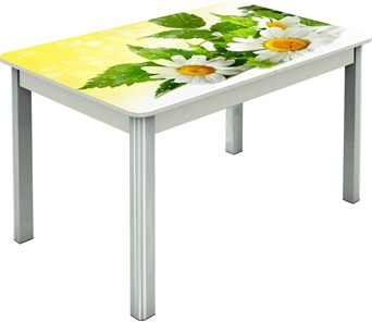 Кухонный раскладной стол Гамбург исп.2 ноги метал. крашеные №23, Фотопечать (Цветы №3) в Чите