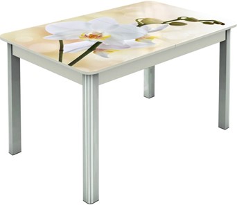 Кухонный стол раскладной Гамбург исп.2 ноги метал. крашеные №23, Фотопечать (Цветы №5) в Чите