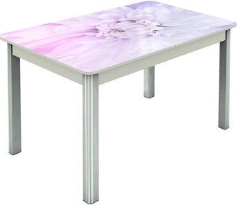 Кухонный стол раздвижной Гамбург исп.2 ноги метал. крашеные №23, Фотопечать (Цветы №54) в Чите