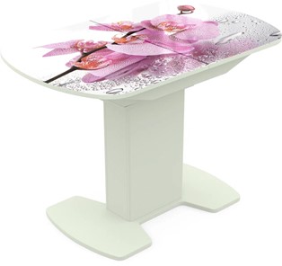Кухонный раскладной стол Корсика исп. 2 Фотопечать (Цветы №55) 1200(1515)*800 в Чите