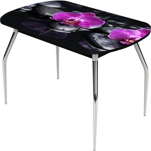 Кухонный раскладной стол Ривьера исп.1 ноги метал. крашеные №24 Фотопечать (Цветы №14) в Чите