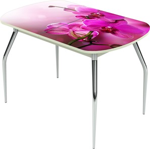 Кухонный раздвижной стол Ривьера исп.1 ноги метал. крашеные №24 Фотопечать (Цветы №16) в Чите