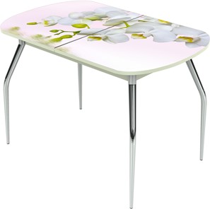 Раздвижной стол Ривьера исп.1 ноги метал. крашеные №24 Фотопечать (Цветы №7) в Чите