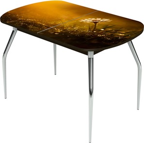 Кухонный раскладной стол Ривьера исп.2 ноги метал. крашеные №24 Фотопечать (Цветы №43) в Чите