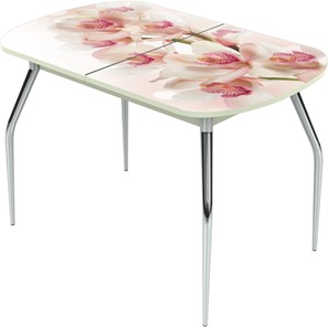 Кухонный раздвижной стол Ривьера исп.2 ноги метал. крашеные №24 Фотопечать (Цветы №8) в Чите