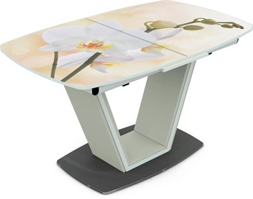 Кухонный стол раскладной Севилья Фотопечать (Цветы №5) в Чите