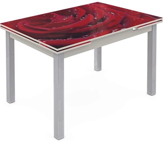 Кухонный раздвижной стол Шанхай исп. 2, ноги метал. крашеные №21 Фотопечать (Цветы №39) в Чите