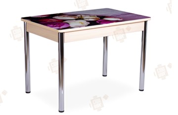 Кухонный стол раскладной Айсберг-01 СТФ, дуб/фотопечать пионы/ноги хром прямые круглые в Чите