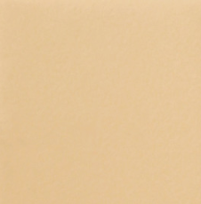 Стул Ретро С119 (отшив-полоска,опора профиль - стандартная покраска) в Чите - предосмотр 18