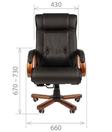 Офисное кресло CHAIRMAN 653 кожа черная в Чите - изображение 1