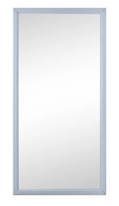 Настенное зеркало в спальню Ника (Серый) 119,5 см x 60 см в Чите