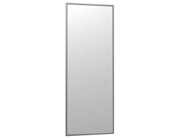 Настенное зеркало в спальню Сельетта-6 матовое серебро (1100х400х9) в Чите