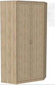 Распашной шкаф 403 несимметричный, цвет Дуб Сонома в Чите - предосмотр
