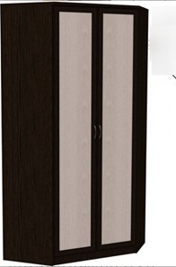 Распашной шкаф 403 несимметричный, цвет Венге в Чите - предосмотр