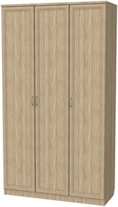 Распашной шкаф 106 3-х створчатый, цвет Дуб Сонома в Чите - предосмотр