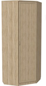 Распашной шкаф 400 угловой, цвет Дуб Сонома в Чите - предосмотр