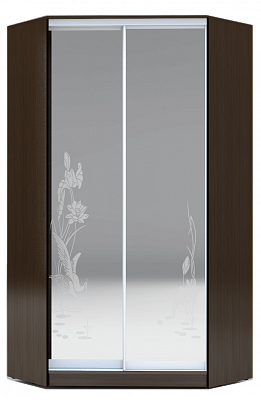 Шкаф 2300х1103, ХИТ У-23-4-66-01, цапля, 2 зеркала, венге аруба в Чите - изображение