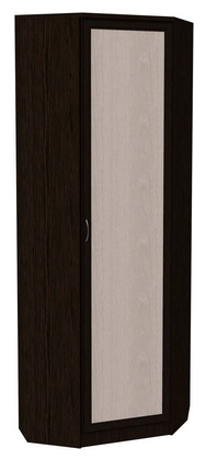 Распашной шкаф 402 угловой со штангой, цвет Венге в Чите - изображение