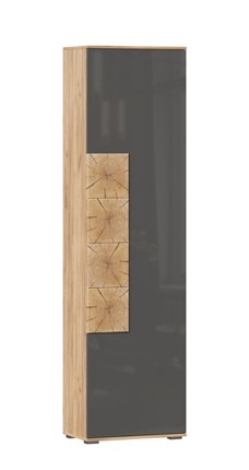 Шкаф одностворчатый Фиджи с декоративными накладками 659.300, Дуб Золотой/Антрацит в Чите - изображение