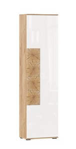 Шкаф одностворчатый Фиджи с декоративными накладками 659.300, Дуб Золотой/Белый в Чите